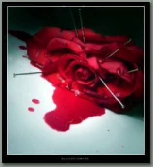 ne brisez jamais un coeur svp...!